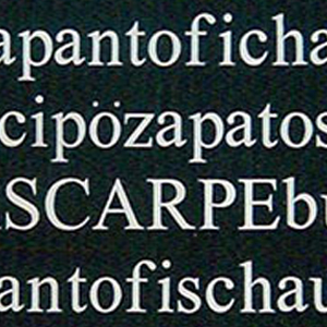 Scritta Murale Punto Vendita Pittarello - Vienna